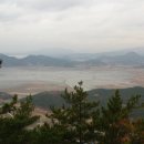 상록수 이미지