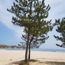 바다정원 이미지