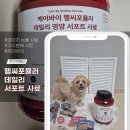 강아지 눈물자국·피부 고민, 사료로 케어해보세요! 케어바이 헬씨포뮬러 급여 후기