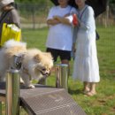 안성맞춤랜드공원6 이미지