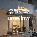 카페유달역 | 유멜로우 카페 후기｜영통역 근처 감성카페, 넓은 실내 + 예쁜 그림컵까지