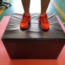 컴뱃주짓수 이미지