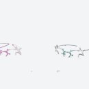 올빗안경 이미지