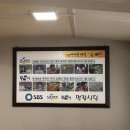 명랑식당 | 대전 현지인 맛집 추천 베스트, 삼성동 명랑식당 육개장 파개장 점심 내돈내산 솔직후기