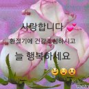 낮엔해처럼밤엔달처럼 이미지