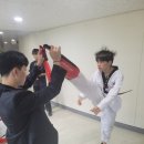 용인대 최강태권도 이미지