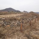 연천학곡리적석총 이미지