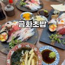 금화초밥 | 용인/기흥 초밥은 여기! 금화초밥 내돈내산 점심 가성비 FLEX!