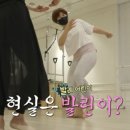 포레스트 다이어트 이미지