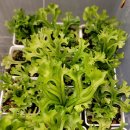 우심농장 이미지