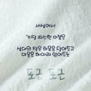 포근포근 이미지