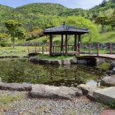 백동무궁화동산 이미지