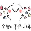 프리마모터스영등포서비스센터 이미지