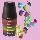 그린P(플라스틱) | 힙한 식물로 방 꾸미기． 반려식물 ‘두왑플랜트’ 스프링골풀 준쿠스 내돈내산 후기