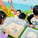 바다유치원 이미지