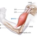 케이라운지 이미지