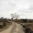 어음1리 복지회관 이미지