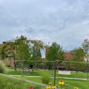 동빙고(근린공원) 이미지