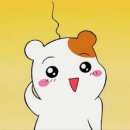 대일자동차 이미지