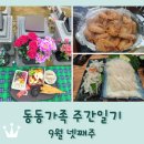 삼성산소(주) | 동동가족 주간일기 9월 넷째주 / 건강검진 / 아버님 산소 / 바다 음식(쭈꾸미 복어 새우 오징어회 광어...