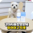 퓨어종합관리 이미지