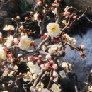 (주)지산농원 이미지