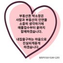 J5204 네이버블로그