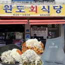 속초 물회 맛집 완도회식당, 아침부터 가야 먹는 산오징어물회 후기