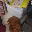 강산동물병원 이미지