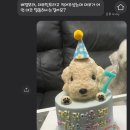 멍멍이츠 이미지