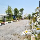 살롱드정원 이미지