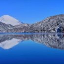 아코네일 이미지