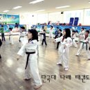 단국대 나래태권도 이미지