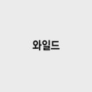 와일드컴퓨터 이미지