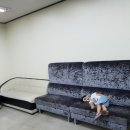 오토오아시스 홈플러스 병점점 이미지