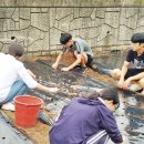 흥선농장 이미지