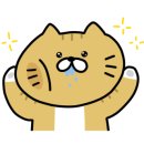 사상동물병원 이미지