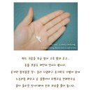 손미인