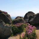 수영카센타 이미지