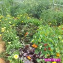 프로농장 이미지