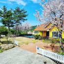 하루한팀 풀빌라 낙원 이미지