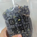 일상기록 | 임신 23주차 성큼 다가온 봄 무기력 극복을 위한 발버둥