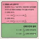 시그마개념수리수학교습소 | 고2 확률과 통계 │ 모평균의 추정, 어렵지 않게 이해하기