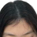 프리모르 이미지