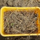 옥종농장 이미지