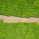 물의 기억 이미지