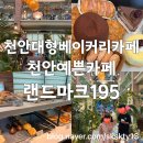 천성중학교 | 천안베이커리카페 천안예쁜카페 천안브런치카페 랜드마크195(내돈내산)