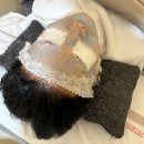 리온메디칼 | 성신여대여드름관리 리온에스테틱 압출 후기