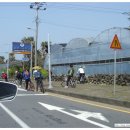 석곡(화산) 이미지