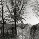 간척초등학교 이미지